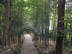 -杭州黄龙洞