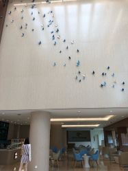-广州和睦家医院·医学月子
