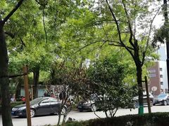 -新江湾城公园