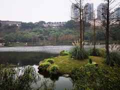 -重庆彩云湖湿地公园