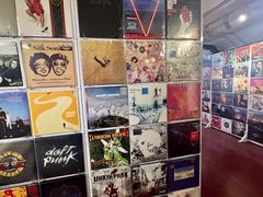 -树懒黑胶唱片店(中山路店)