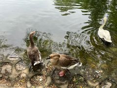 -石家庄市动物园