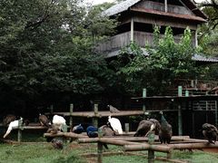 -昆明动物园