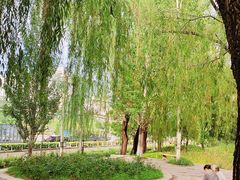 -元大都城垣遗址公园