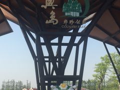 -上海长兴岛郊野公园