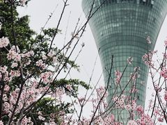 -狐尾山公园