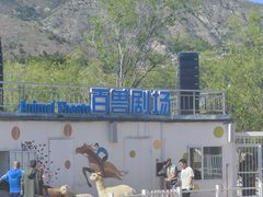 -大青山野生动物园
