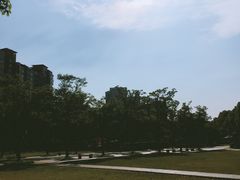 -新江湾城公园