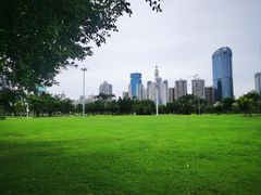 -万绿园