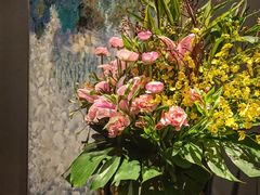 -弦月窗LUNETTE BY AMANDA(复兴路店)