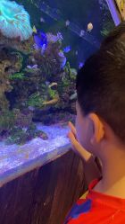 -Zoolung Zoolung动物主题公园(海信广场店)