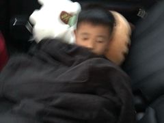 -常州环球恐龙城维景国际大酒店
