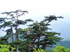 -圣莲山风景区
