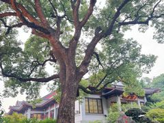 -雷峰塔·藕香居餐厅