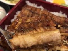 -彩葉·樱花屋日本料理(动物园店)