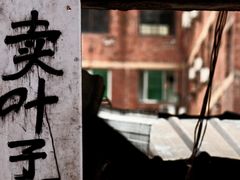 -野水沟小商品批发市场