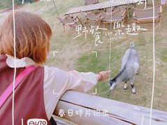 -龙岩森林水乡景区
