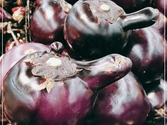 -北京华联生活超市(兰州红星店)