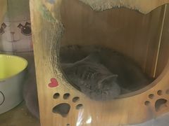 -203密室体验馆·逃脱·聚会·亲子(工体店)