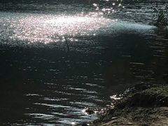 -Z+KTV自由港PLUS(仲盛店)