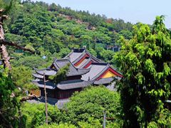 -树山生态村