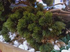 -大头亮羊汤烩面·河南非遗(良乡总店)