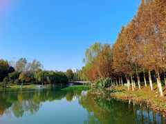 -滨湖塘西河公园