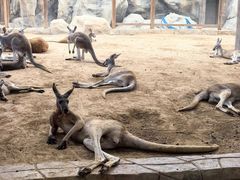 -泉城欧乐堡海洋极地世界