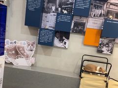 -伟伟宠物医院·CT影像中心·瑞派犬猫综合性门诊(汉口总院)