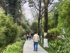 -成都市活水公园
