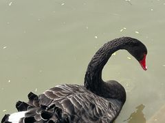 -上海交通大学(闵行校区)