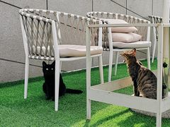 -UNI UNI(环亚凯瑟琳店)