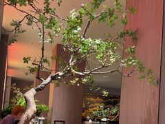 -老太原菜馆(南宫店)