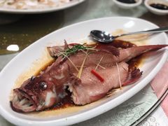 东星斑-寻味顺德·南记酒家·传统顺德菜·鱼生(广源路店)