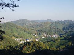 -龙井村