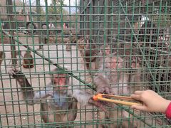 -南京金牛湖风景区