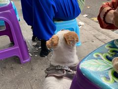 -苏三拉面馆