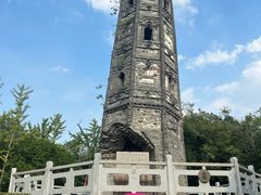 -上海佘山国家森林公园天马山园