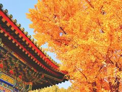-香山公园