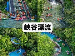 -莫干山风景区