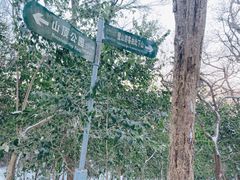 -紫金山山顶公园