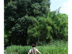 -成都市活水公园