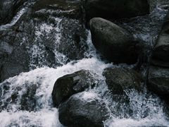 -大奇山国家森林公园