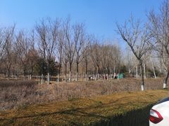 -莫子山公园