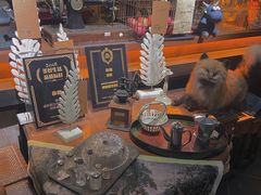 -杂咖zacup(领展中心城店)