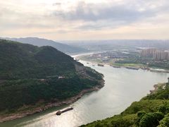 -铁山坪森林公园