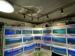 -黄记大闸蟹专卖店·活蟹·醉蟹
