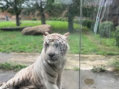 -齐齐哈尔龙沙动植物园
