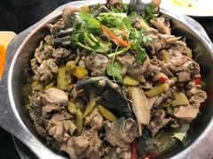 -陈三娃泡姜鸡