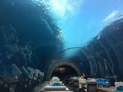 -海棠湾洲际-涛·海底餐厅·美人鱼·自助餐·海底隧道